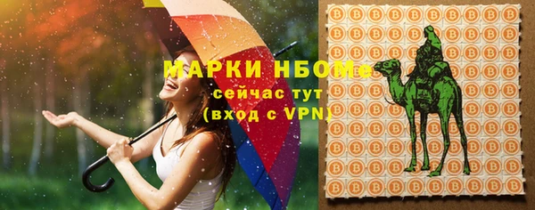 винт Арсеньев