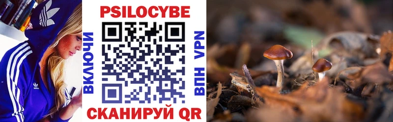 Галлюциногенные грибы Psilocybe  цена   Сосногорск 